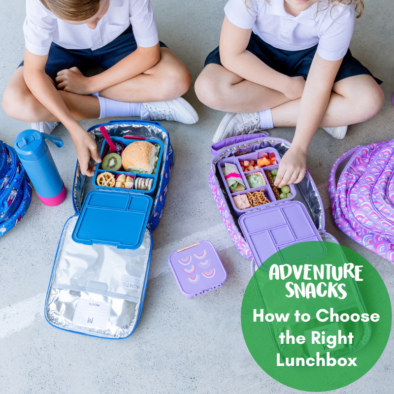 Why Yumbox Is The Right Lunchbox For You – Hugs For Kids