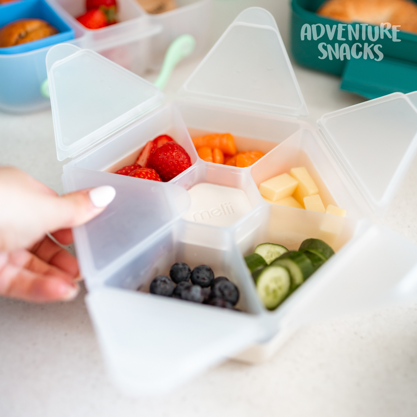 Melii Hexagon Snackle Box