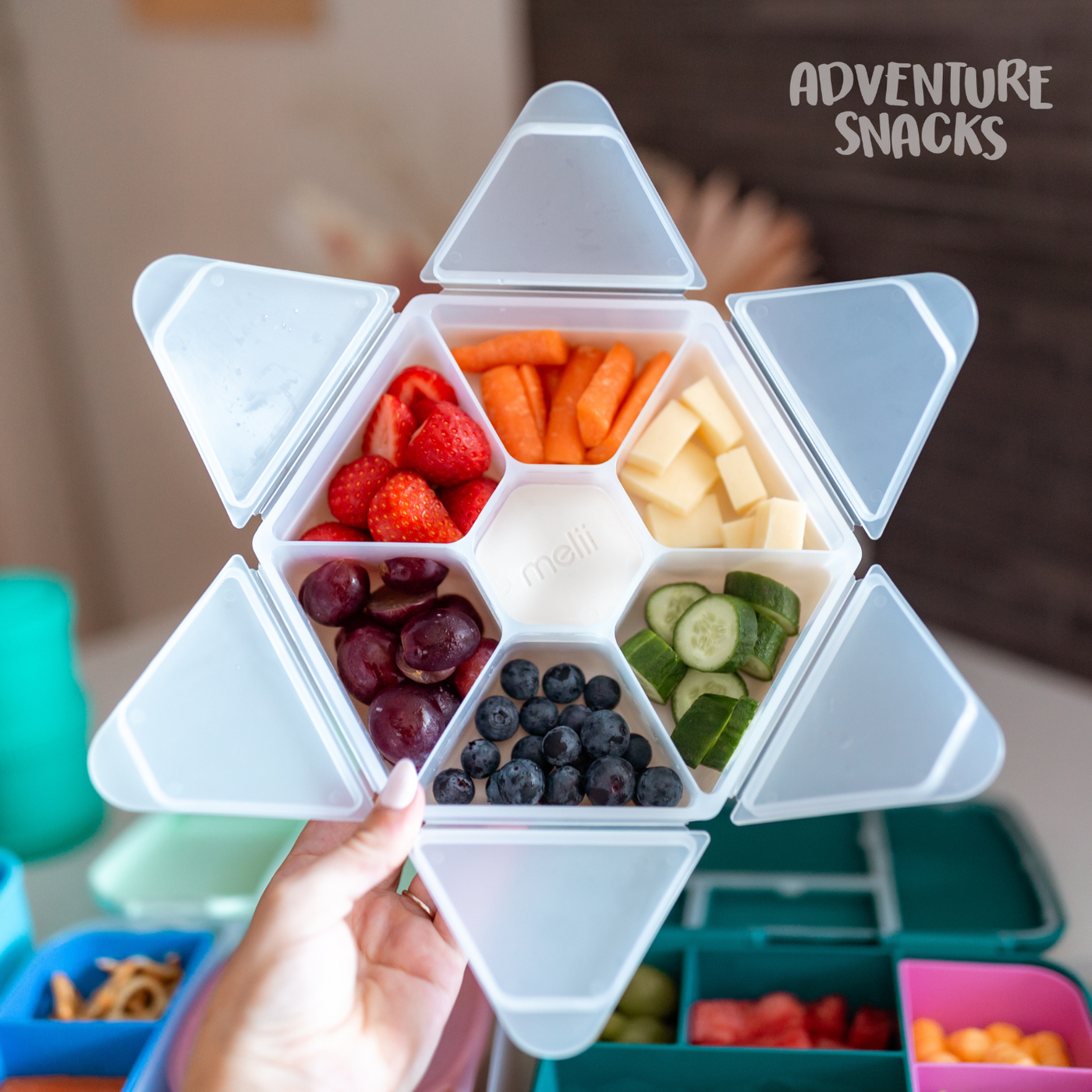 Melii Hexagon Snackle Box