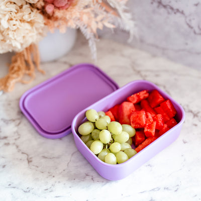 Adventure Snacks Silicone Rectangle Lunch Box