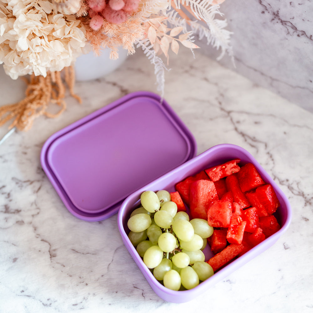 Adventure Snacks Silicone Rectangle Lunch Box