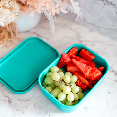 Adventure Snacks Silicone Rectangle Lunch Box