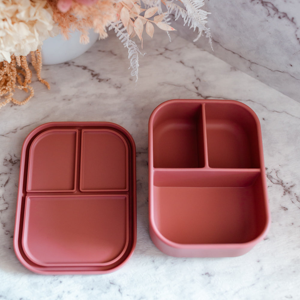 Adventure Snacks Silicone Lunchbox - 3 Compartment