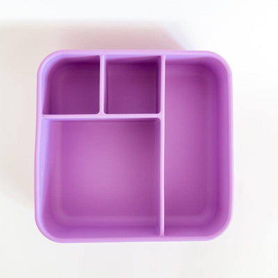 Adventure Snacks Large Square Bento- lilac