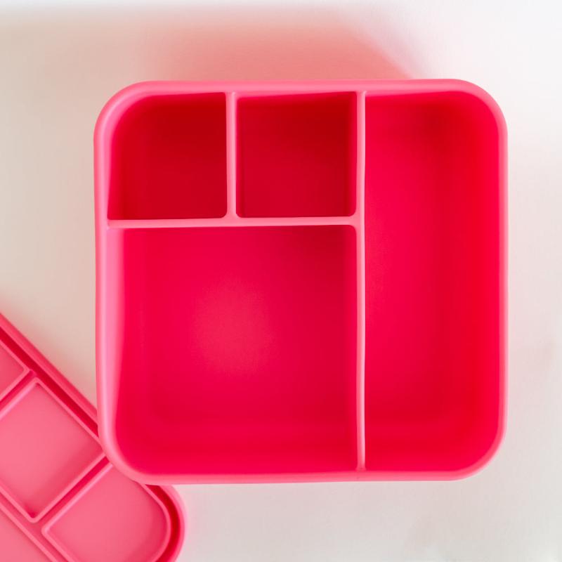 Adventure Snacks Large Square Bento- flamingo pink