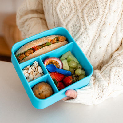 Adventure Snacks Large Square Bento- ocean blue