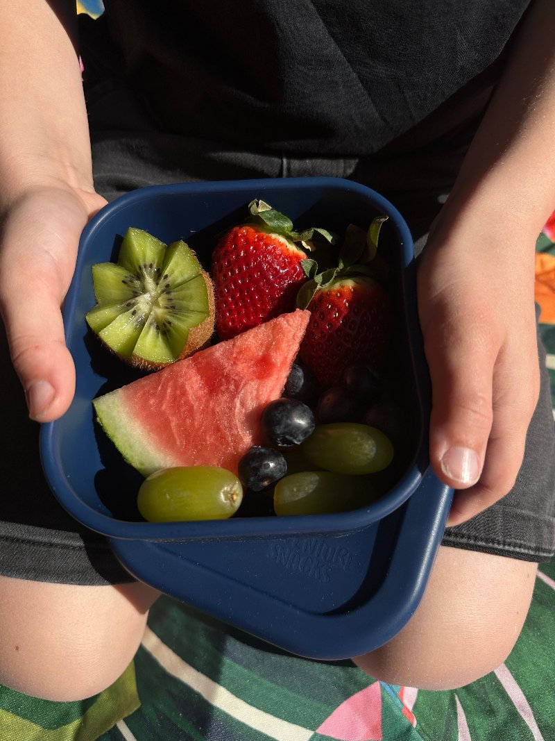 Adventure snacks silicone square snack box- royal blue