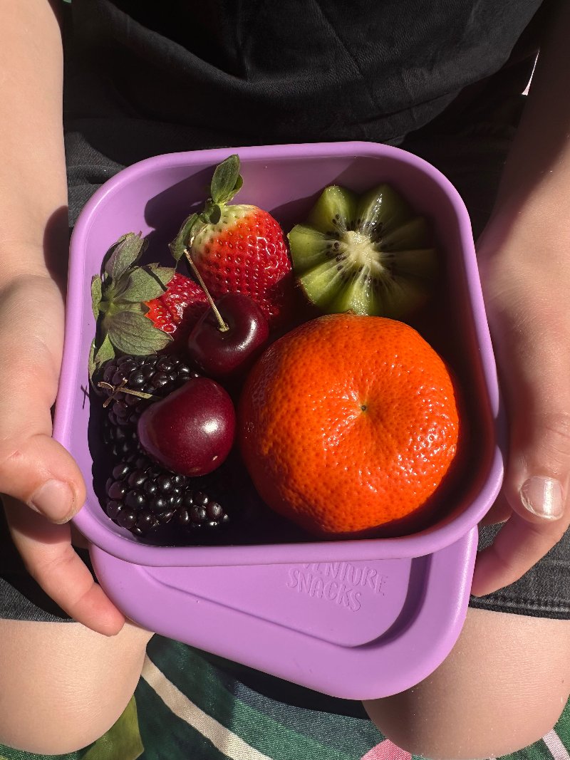 Adventure snacks silicone square snack box- lilac