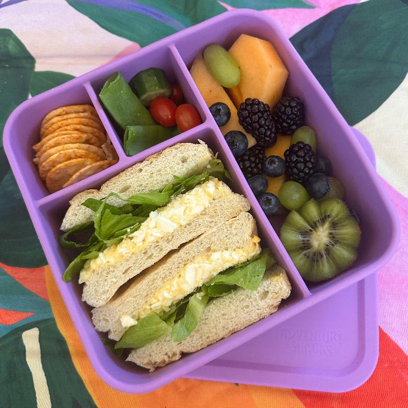 Adventure Snacks Large Square Bento- lilac