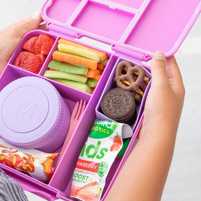 MontiiCo feast bento lunchbox- fuchsia