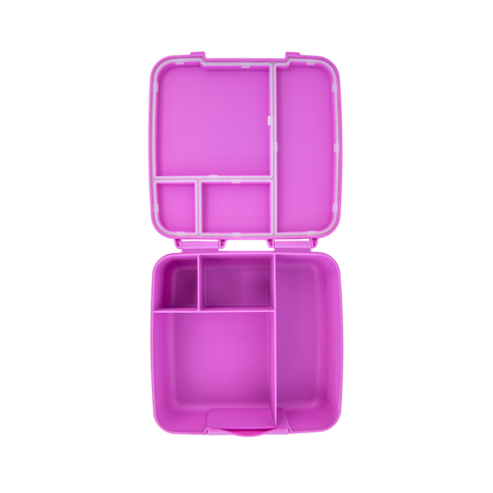 MontiiCo feast bento lunchbox- fuchsia