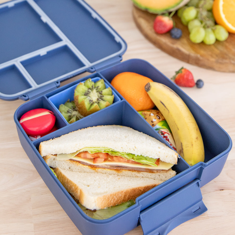 MontiiCo feast bento lunchbox- navy