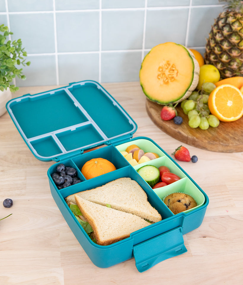 MontiiCo feast bento lunchbox- pine