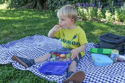 Yumbox original- surf blue