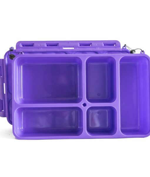 Go Green Large Lunchbox - Purple